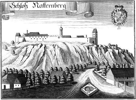 Burg-Natternberg
