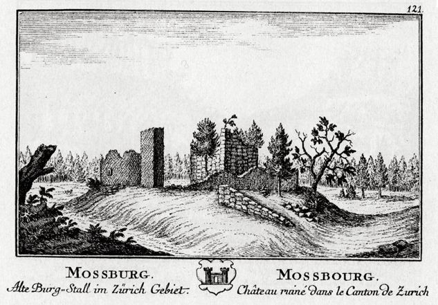 Burg Moosburg-Illnau-Effretikon