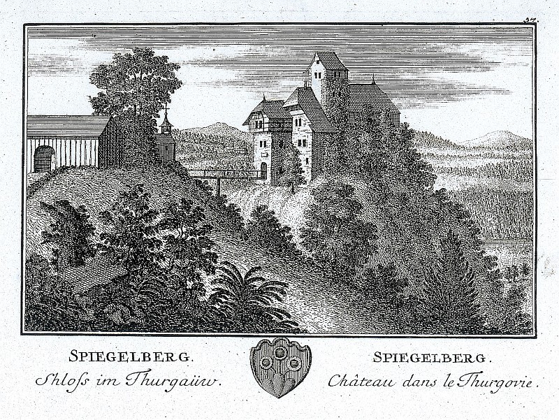 Burg Spiegelberg-Wetzikon