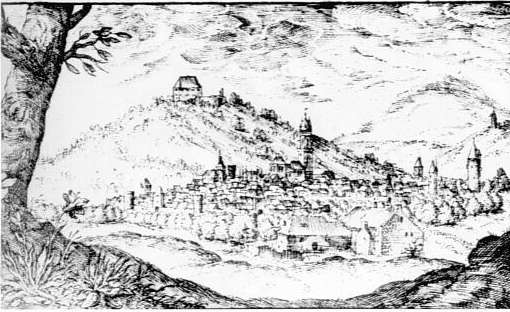 Burg-Grebenstein